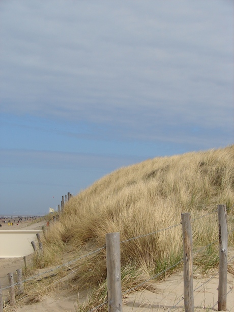 Duinen Noordwijk