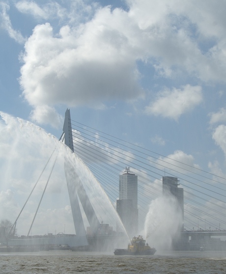 Rotterdam Marathon 2006
