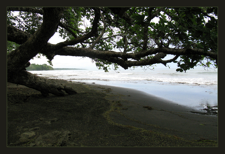 Caribbean beach