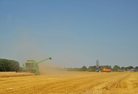 Noord Groningen, het Hoogeland,