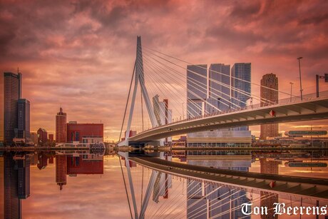 Skyline Rotterdam