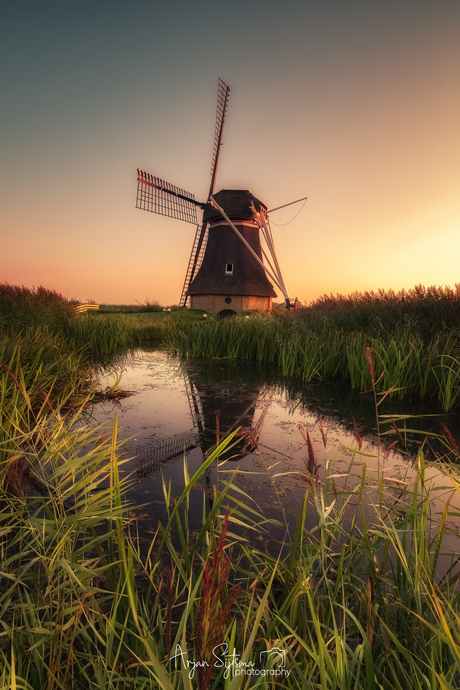 Ypey molen in het ochtendlicht