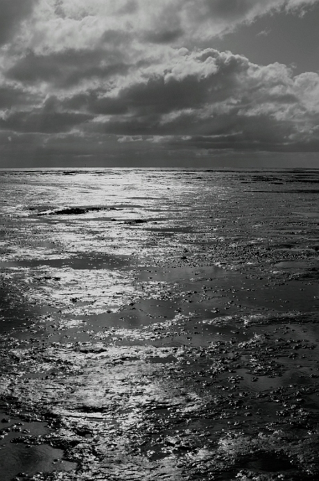 Het wad Schiermonnikoog