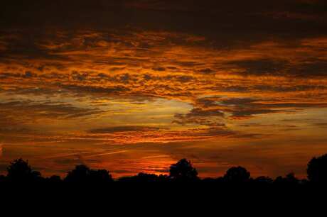 Zonsondergang Achterhoek