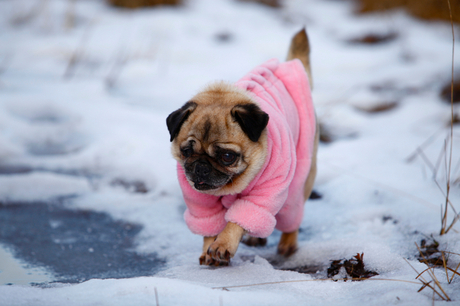 Frisjes in de winter, dus een lekker warm jasje aan.