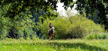 even wandelen met mijn goede vriend