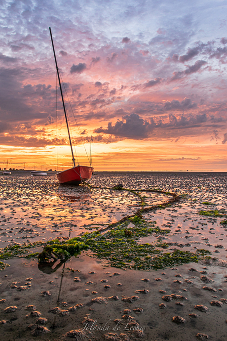 Colorful Sunset