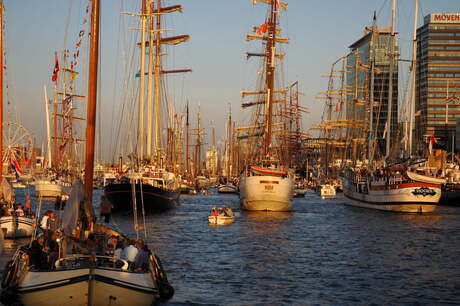 Sail 2010