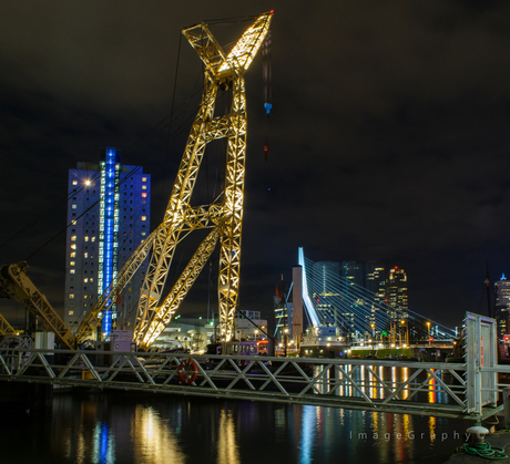 Rotterdam By Night 3