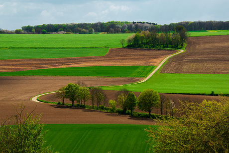 voorjaar in Limburg