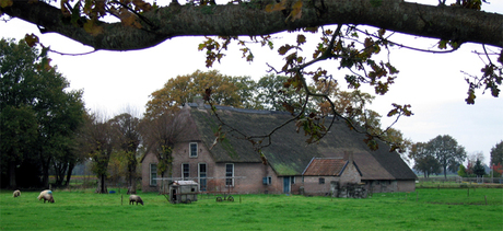 Boerderij