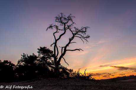 Wekeromse Zand