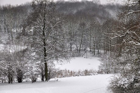 winterlandschap