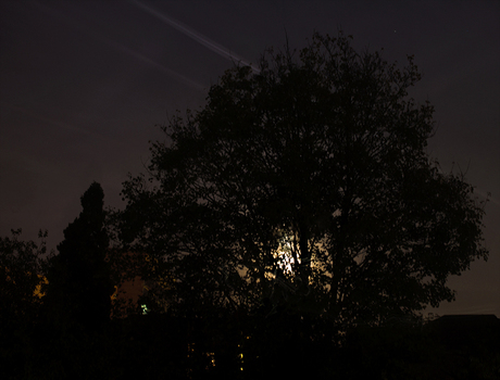 Zie-de-maan-schijnt-door-de-bomen-2B_DSC9897.jpg