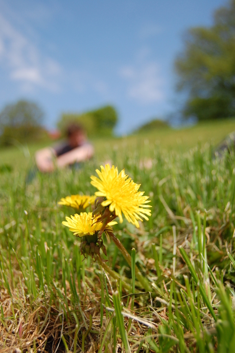 Lente & relaxen