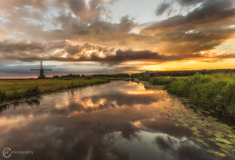 Dutch Summer