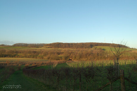 Licht en schaduw in Limburgs landschap