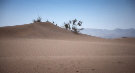 Duinen Maspalomas