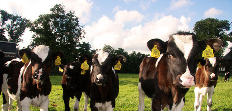 Allemaal even nieuwsgierig