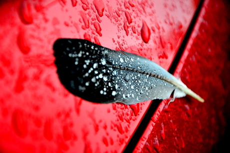 A Car and a feather