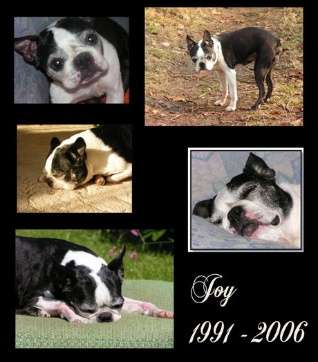 Joy 1991-2006