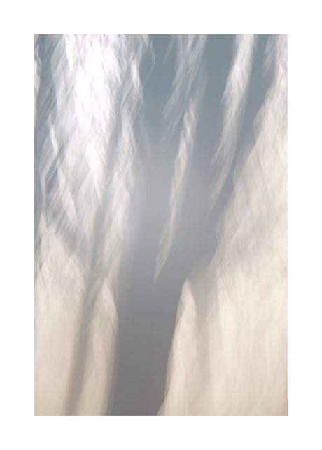 Goud en zilveren boompje