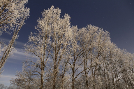 WINTERLICHT 2010