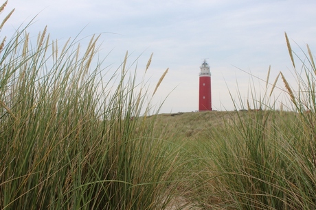 vuurtoren texel