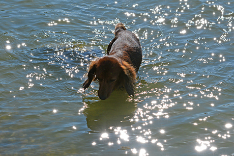 famke in ijsselmeer.jpg