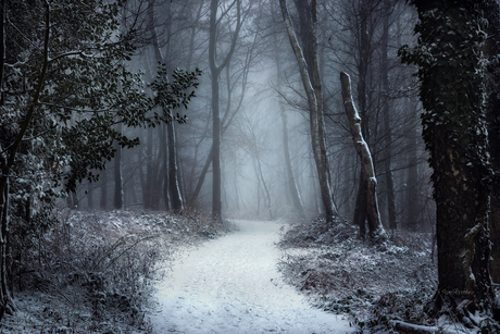 The White Path.