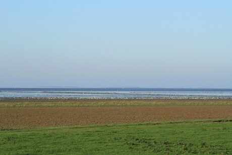 Het Wad