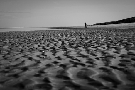 High-contrast beach