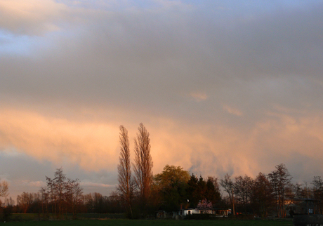 Liezele Fort