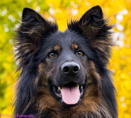 Terugblik op de herfst