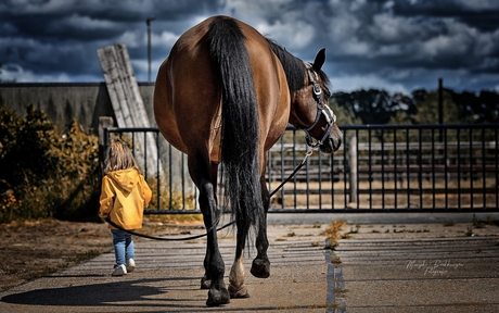 paard uitlaten