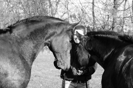 Unitey, Hanna & Safin