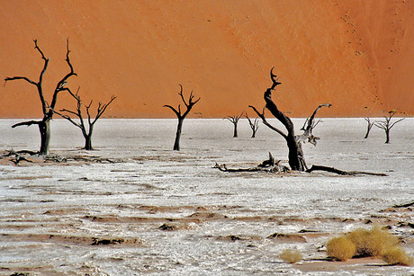 Deadvlei