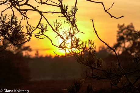 Zonsondergang