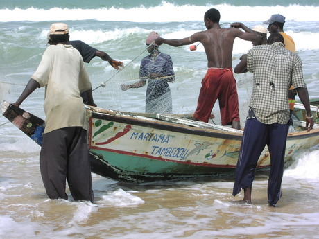 Vissers in Gambia
