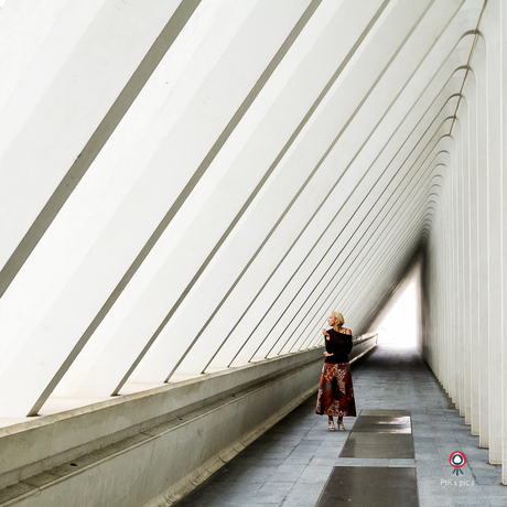 Guillemins @ Liege