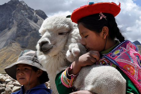 Peru Kinderen met Alpaca's