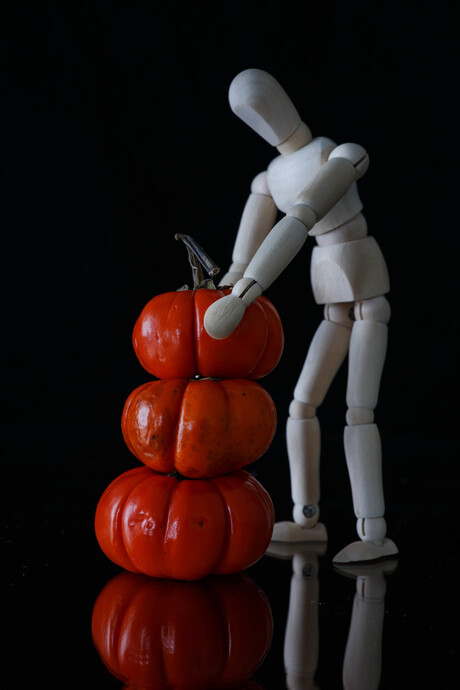 Organize the mini pumpkins-2