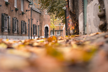 Herfst in 's- Hertogenbosch