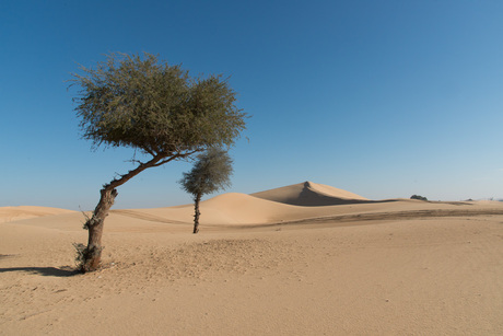 Al Khatim duinen Abu Dhabi