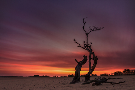 Drunense Duinen LE