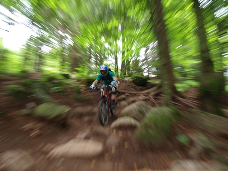 freeriding in the woods