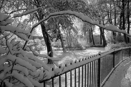 2013-02 Sneeuw Bennebroek