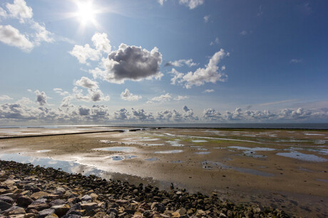 Wadden