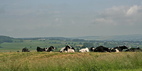 Zuid Limburg