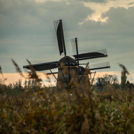 Kinderdijk